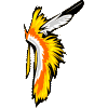 Head Dress